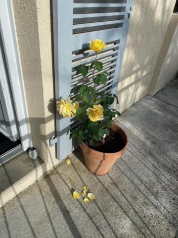 Photo of Others in Plaisance