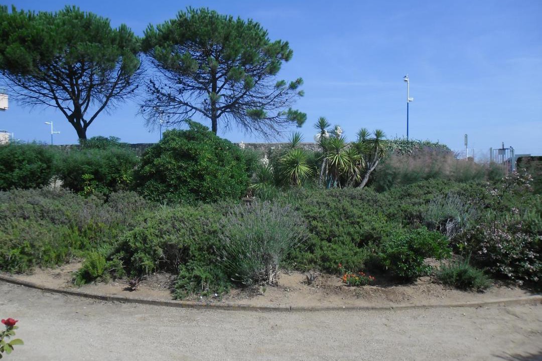 Photo of Others in Sete