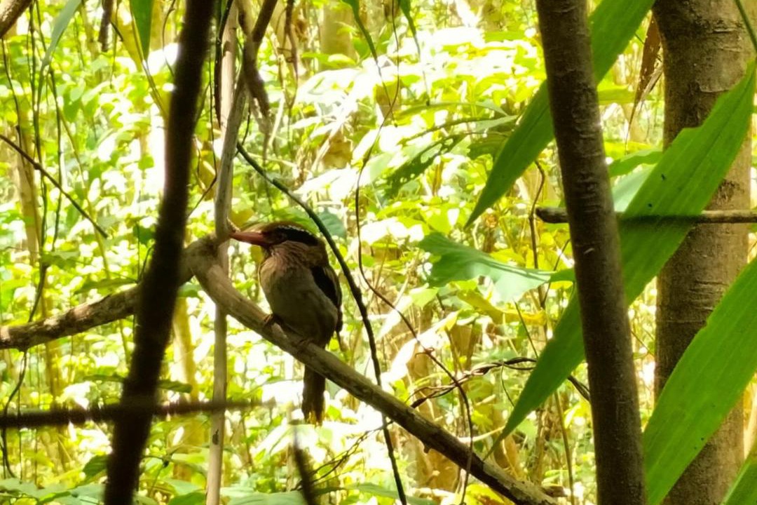 Photo of Others in Bitung