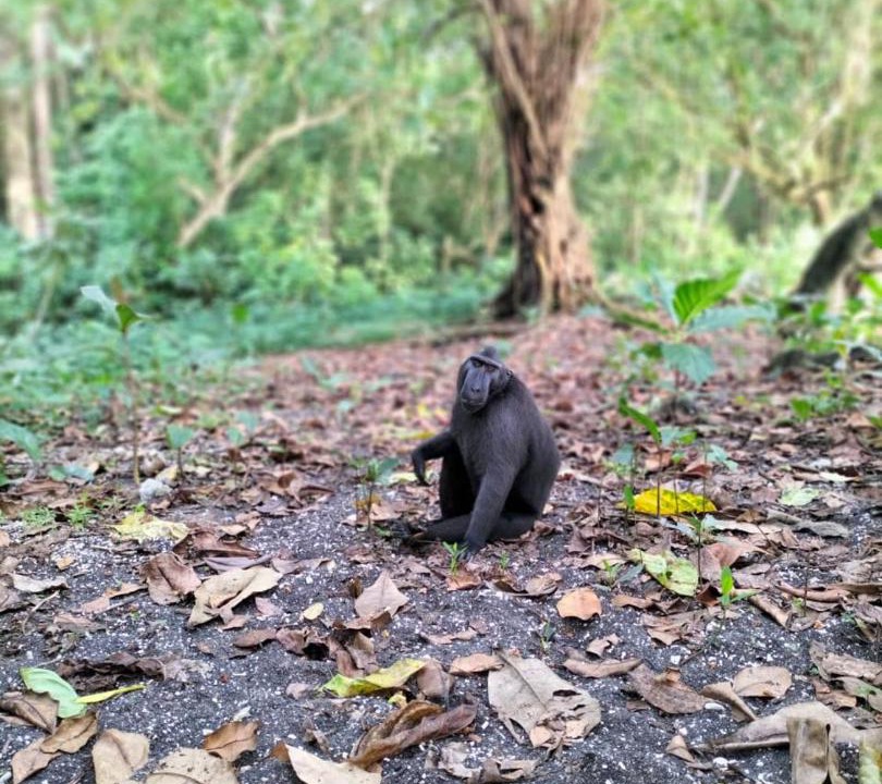 Photo of Others in Bitung