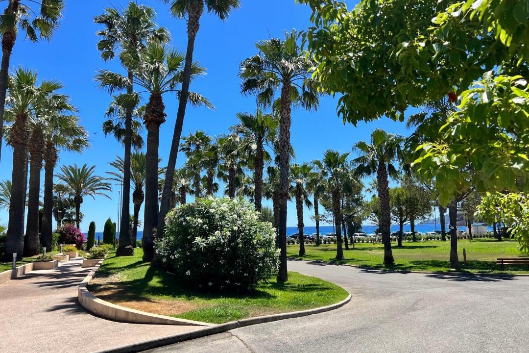 Photo of Others in La Bocca