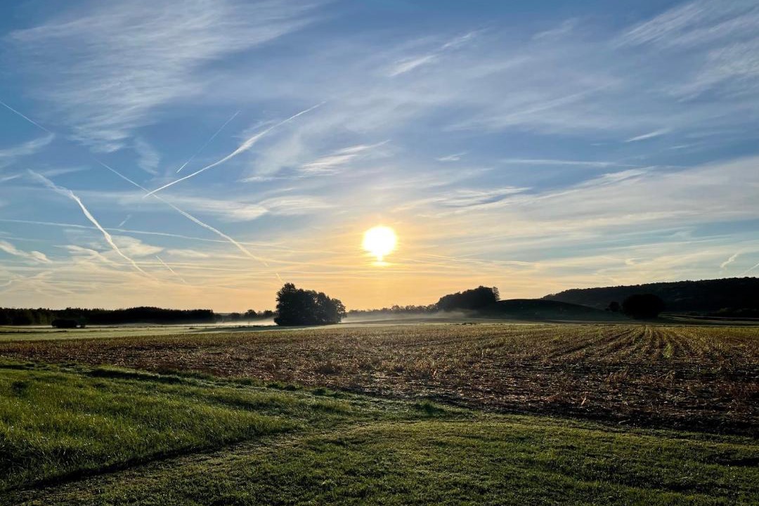 Photo of Others in Nouart