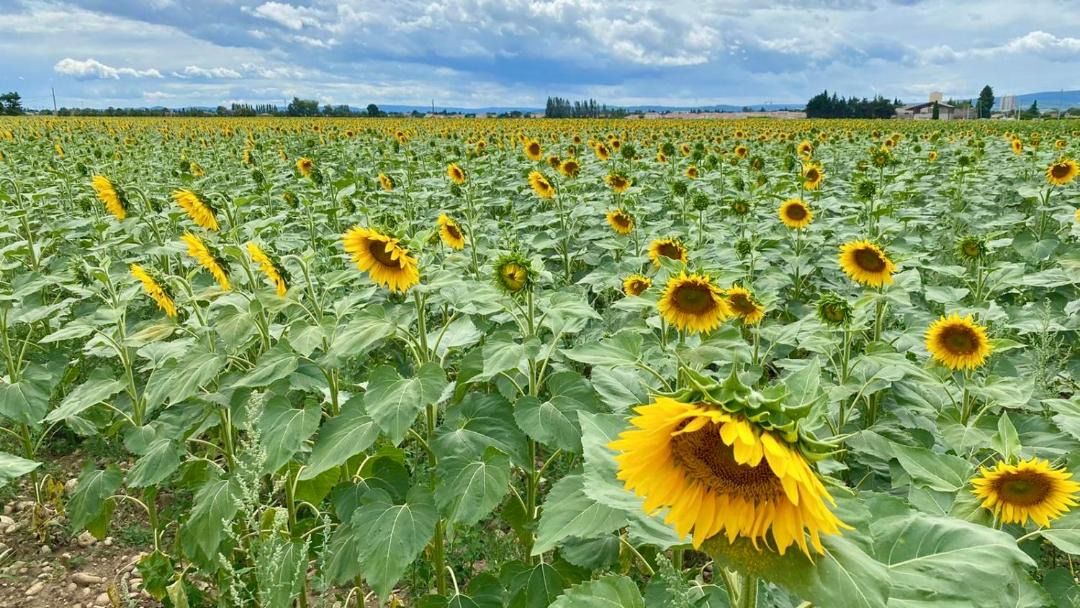 Photo of Others in Nouart