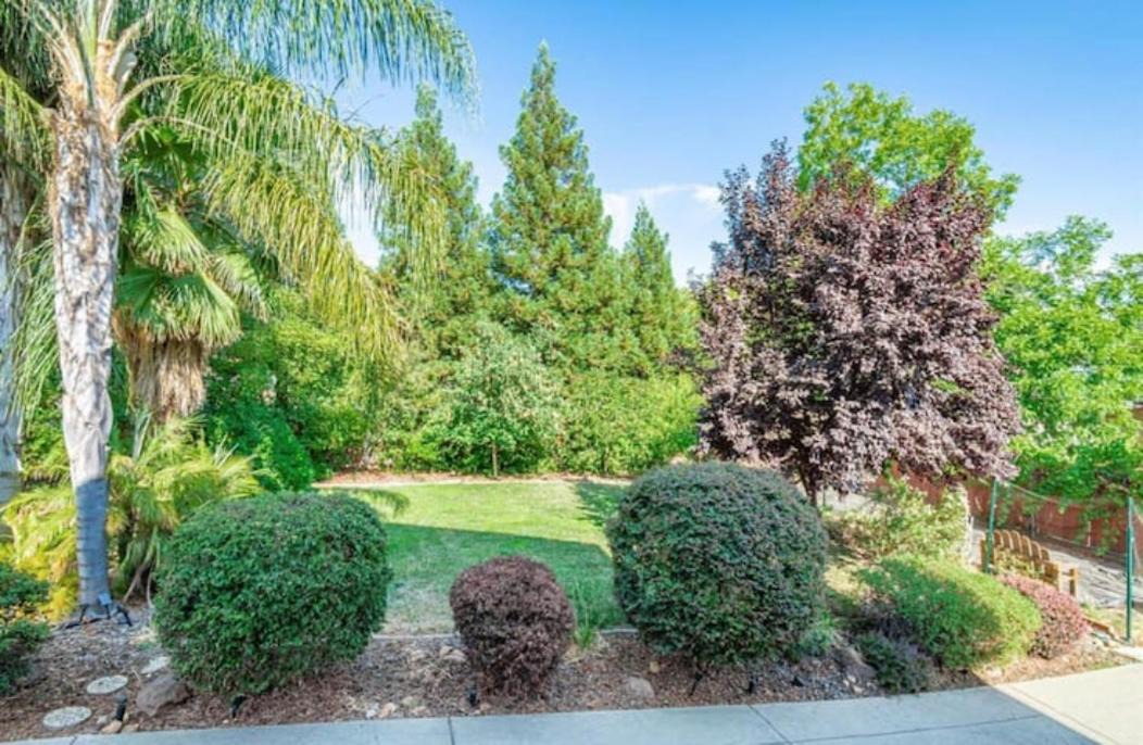 Photo of Others in Fair Oaks