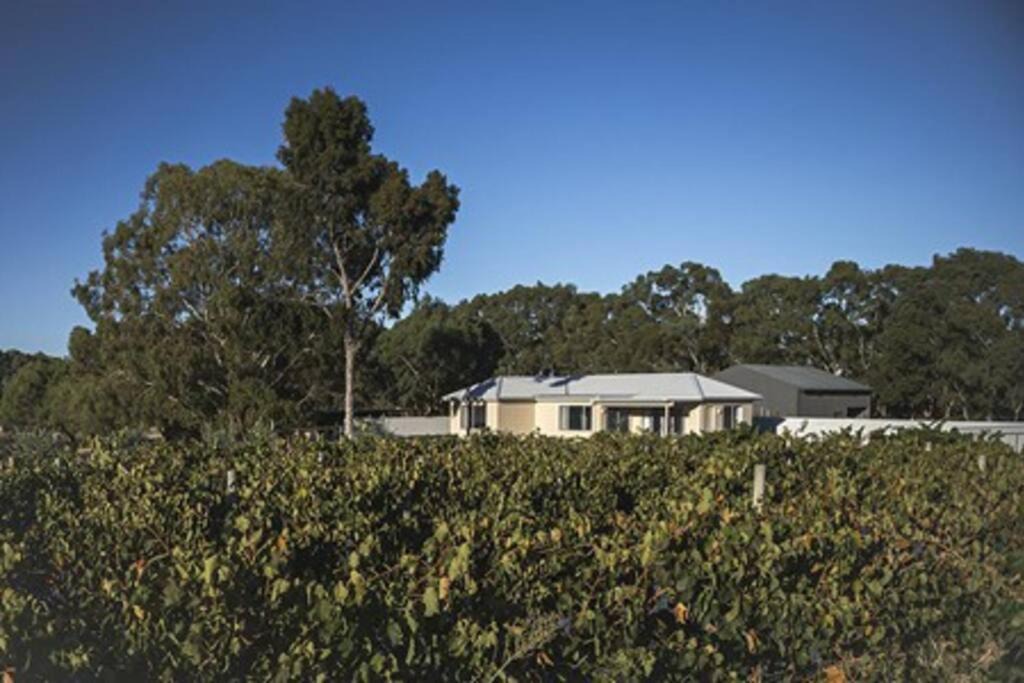 Photo of Others in Nuriootpa