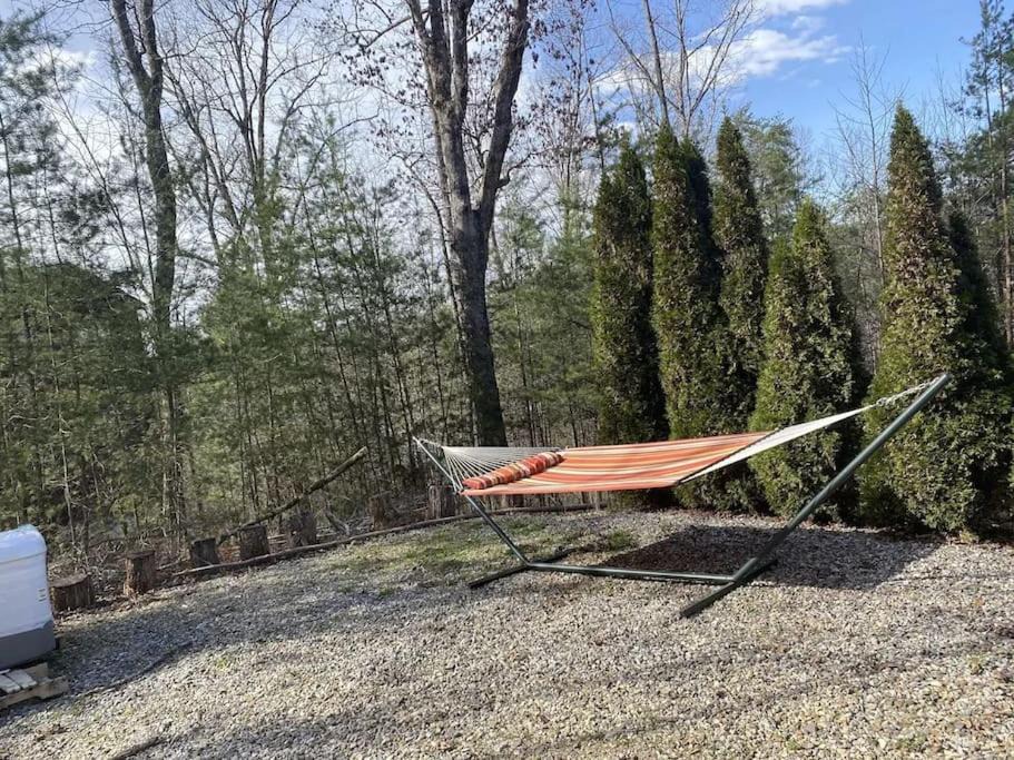 Photo of Others in Blairsville