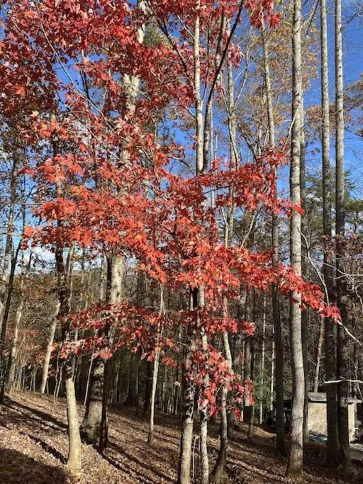 Photo of Outdoor in Blairsville