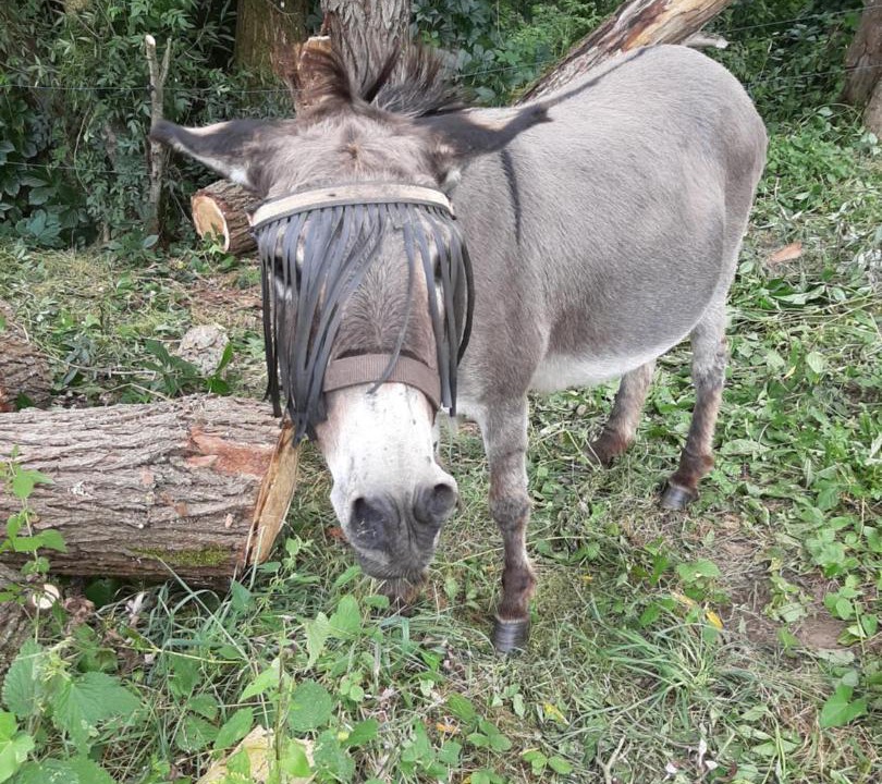 Photo of Others in Veuves