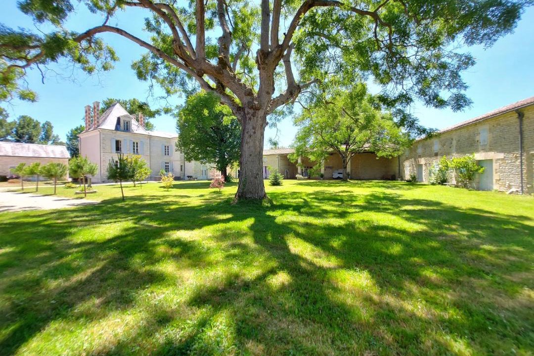 Photo of Others in Marsais