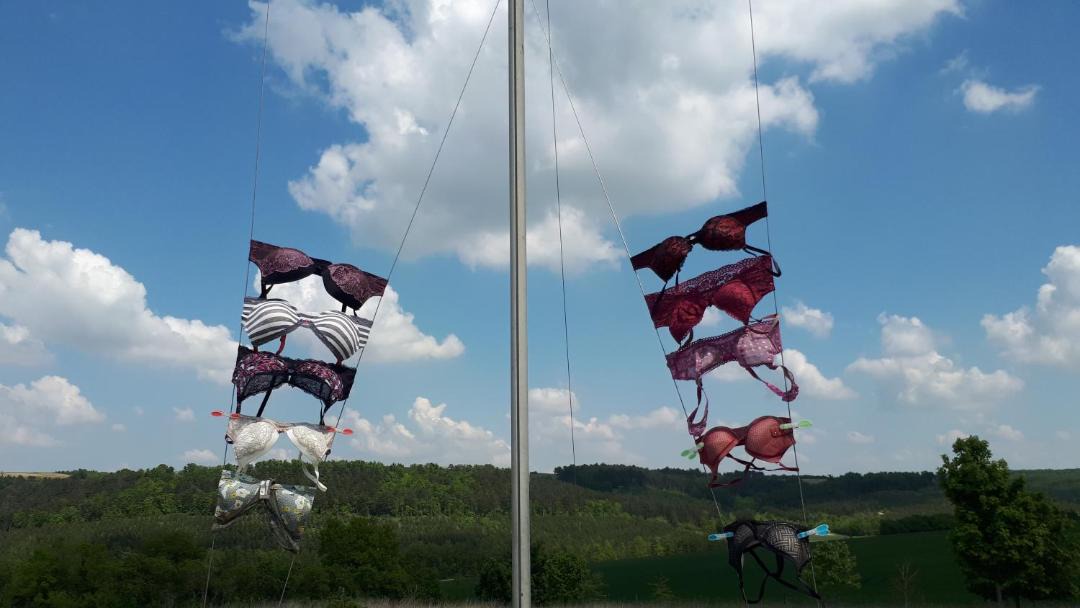 Photo of Others in Saint-Bris-le-Vineux