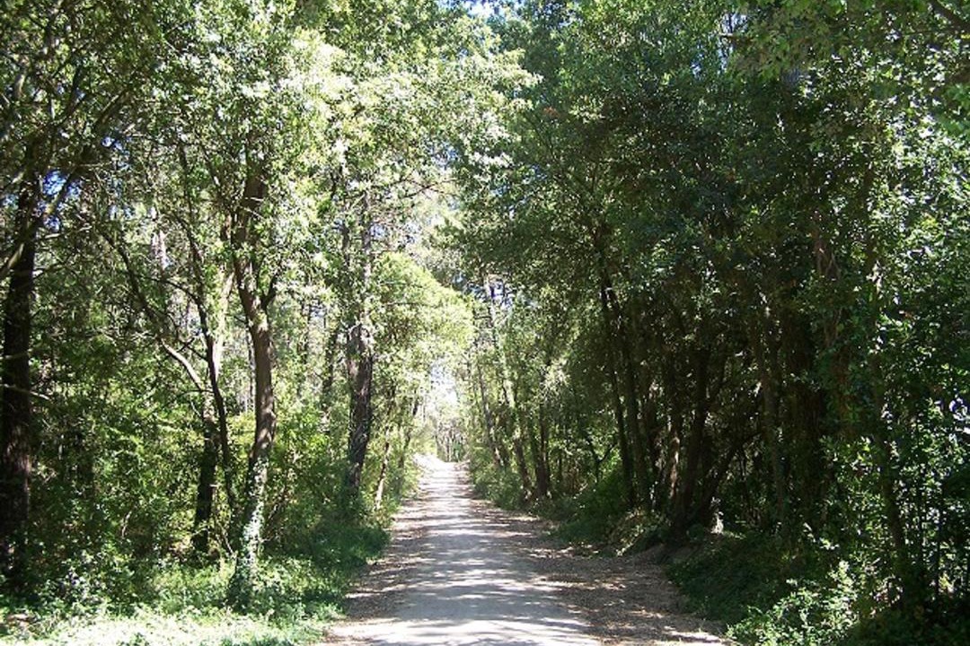 Photo of Outdoor in Fromentine