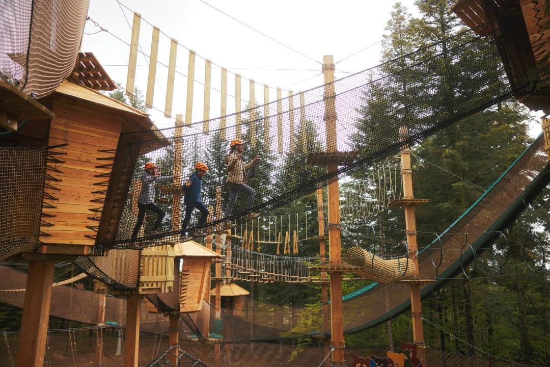 Photo of Others in Niderhoff