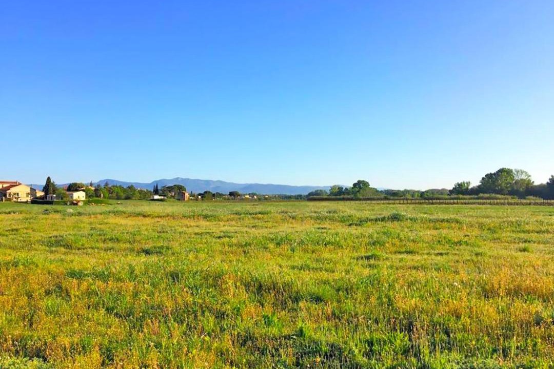 Photo of Others in Canet