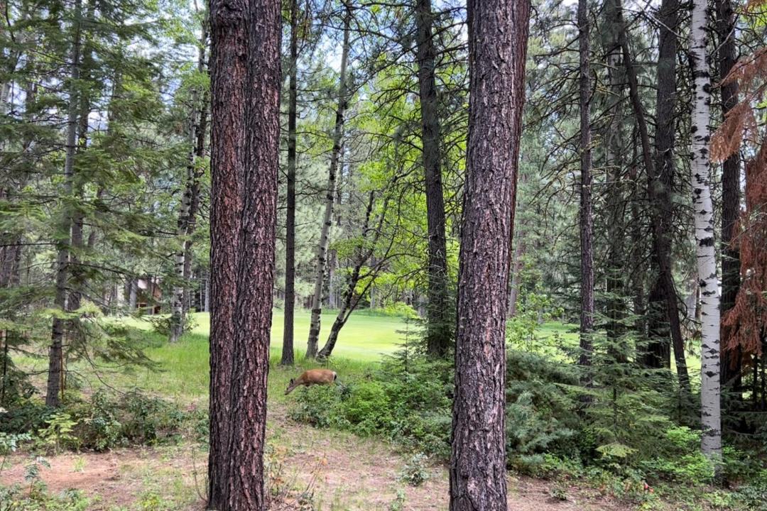 Photo of Others in Black Butte Ranch