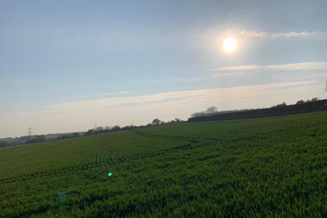 Photo of Others in Chislet