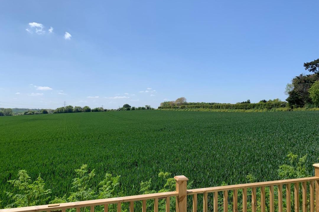 Photo of Others in Chislet