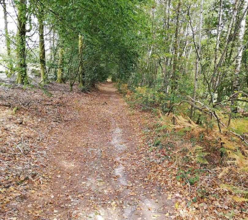 Photo of Others in Gandelain