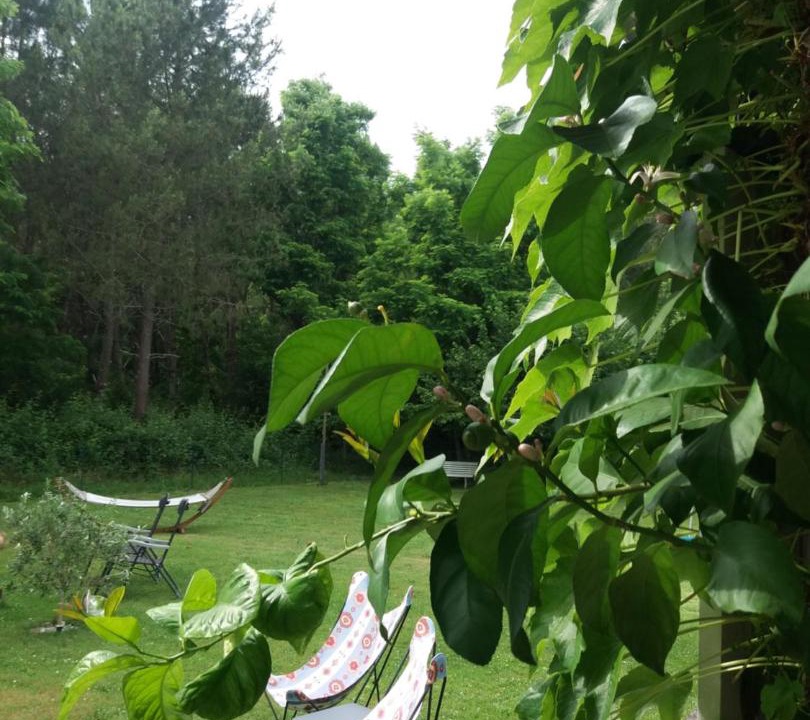 Photo of Others in Bourriot-Bergonce