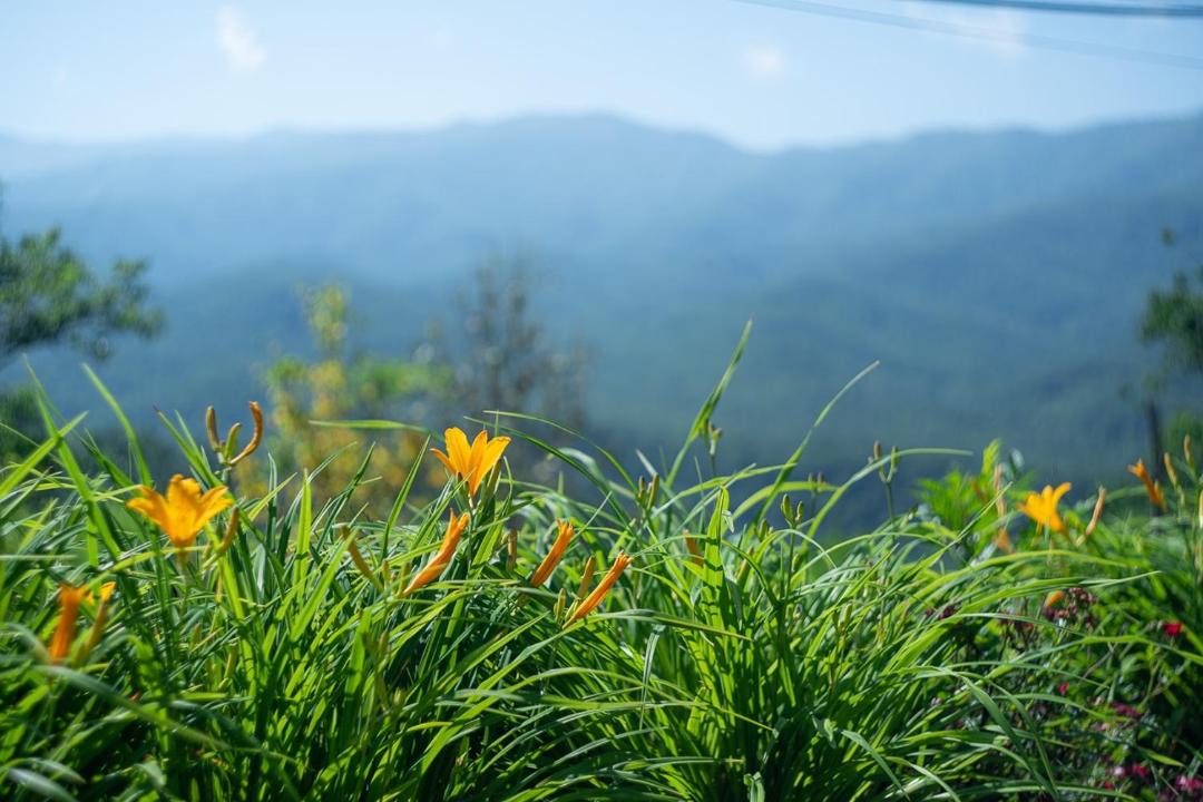 Photo of Others in Gatlinburg