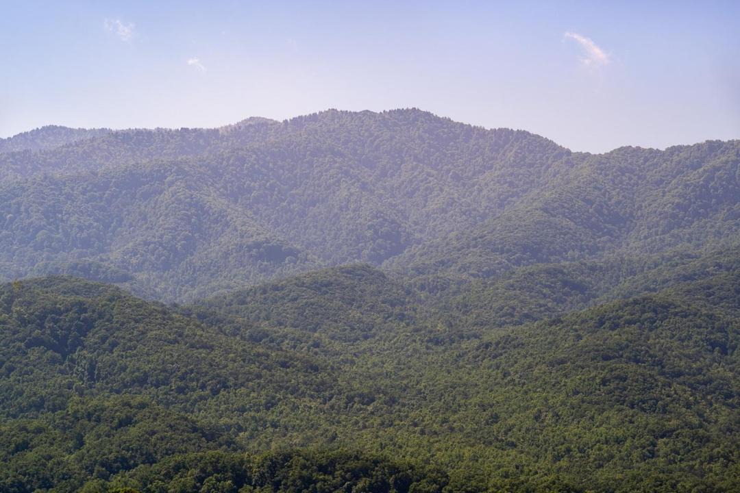 Photo of Others in Gatlinburg