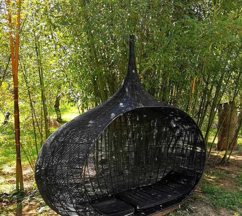 Photo of Others in Grimaud