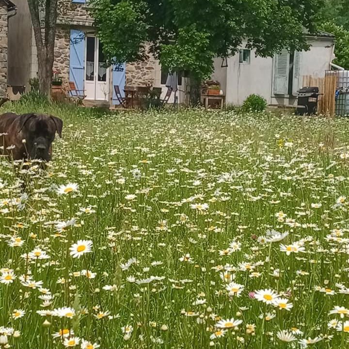 Photo of Others in Champs-sur-Tarentaine-Marchal