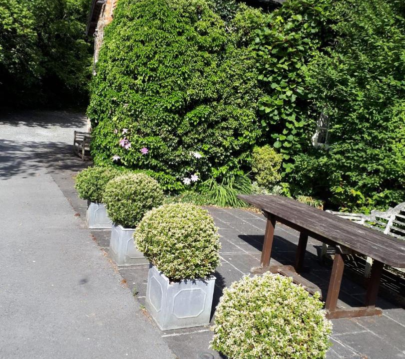 Photo of Others in Bovey Tracey