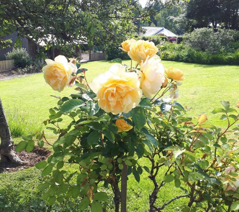 Photo of Others in Bovey Tracey