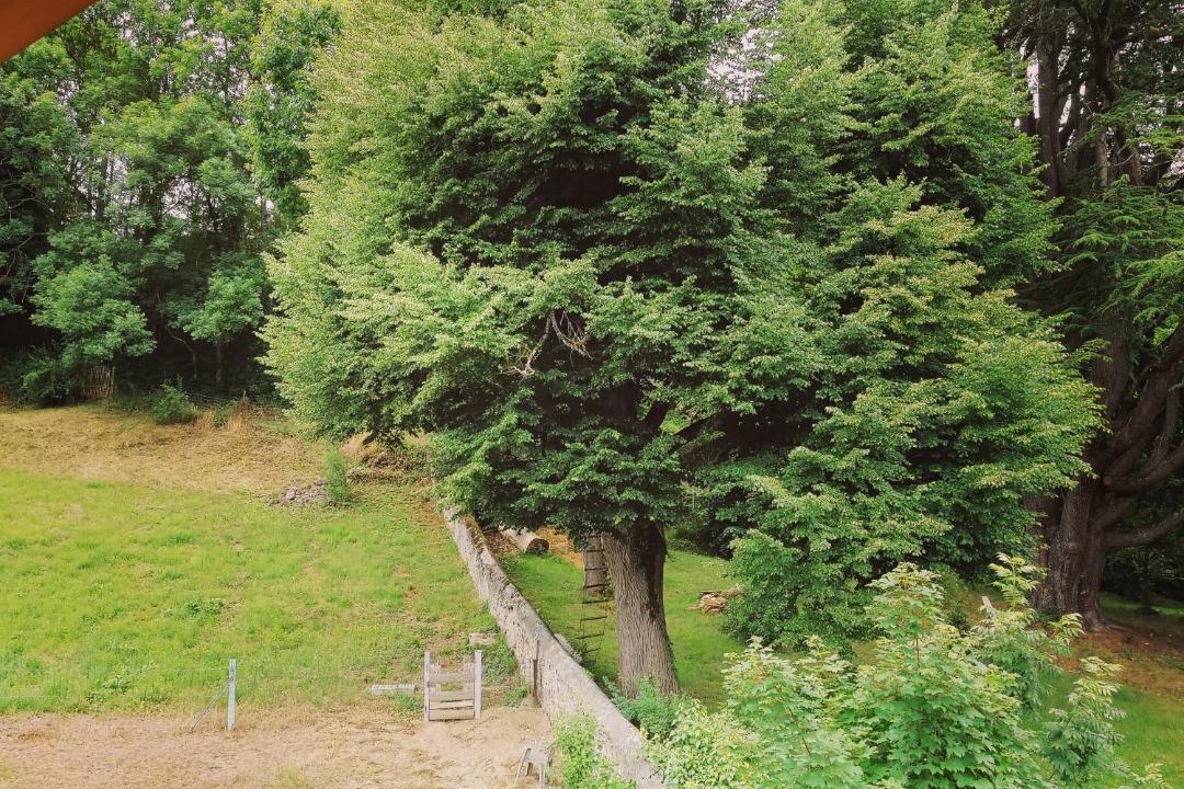 Photo of Others in Arreau
