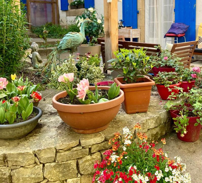 Photo of Others in Rennes-les-Bains