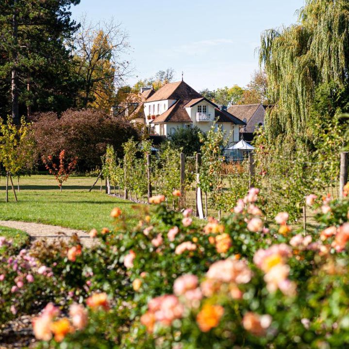 Photo of Others in Levernois