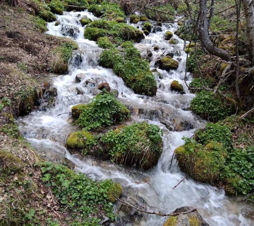 Photo of Others in Esterri D'Aneu