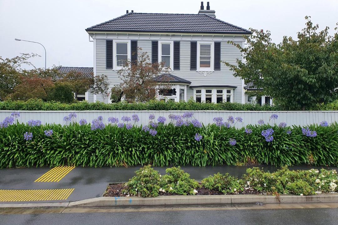 Photo of Others in Kaiapoi