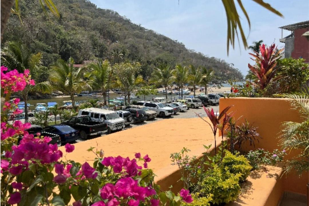 Photo of Others in Boca de Tomatlan