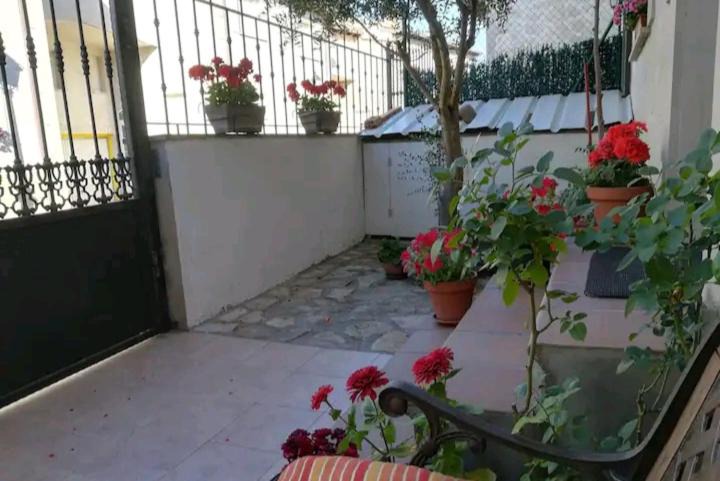 Photo of Patio Balcony in Carcedo de Burgos