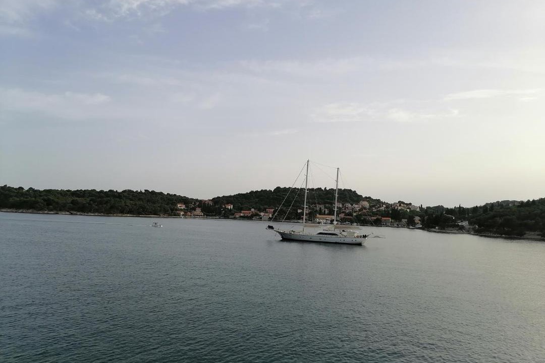 Photo of Others in Zaton
