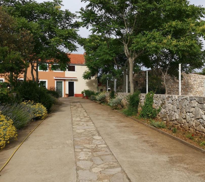 Photo of Others in Veli Losinj