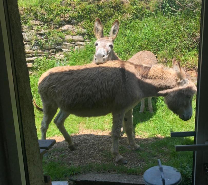 Photo of Others in Cambounes