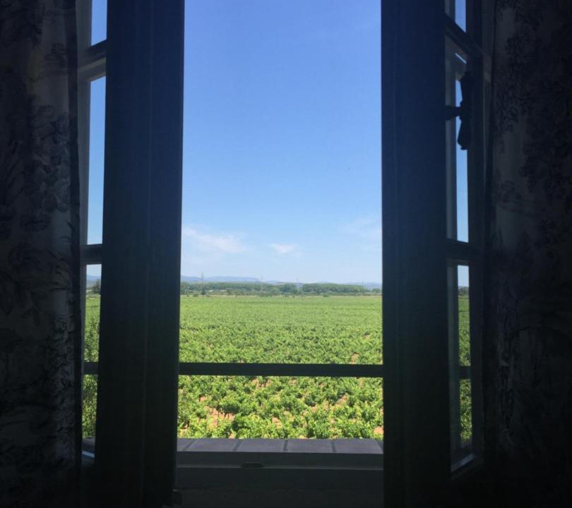 Photo of Others in Le Somail