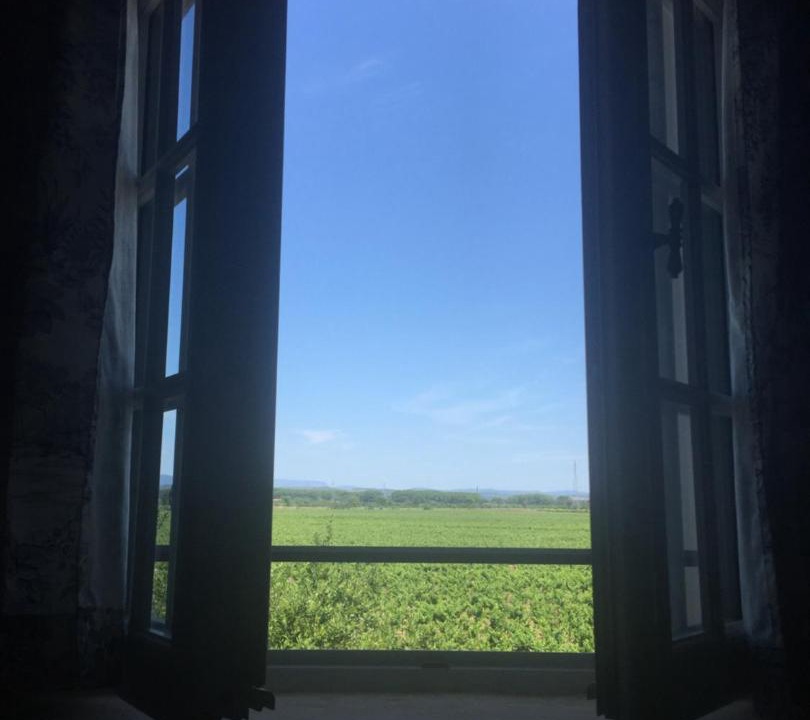 Photo of Others in Le Somail