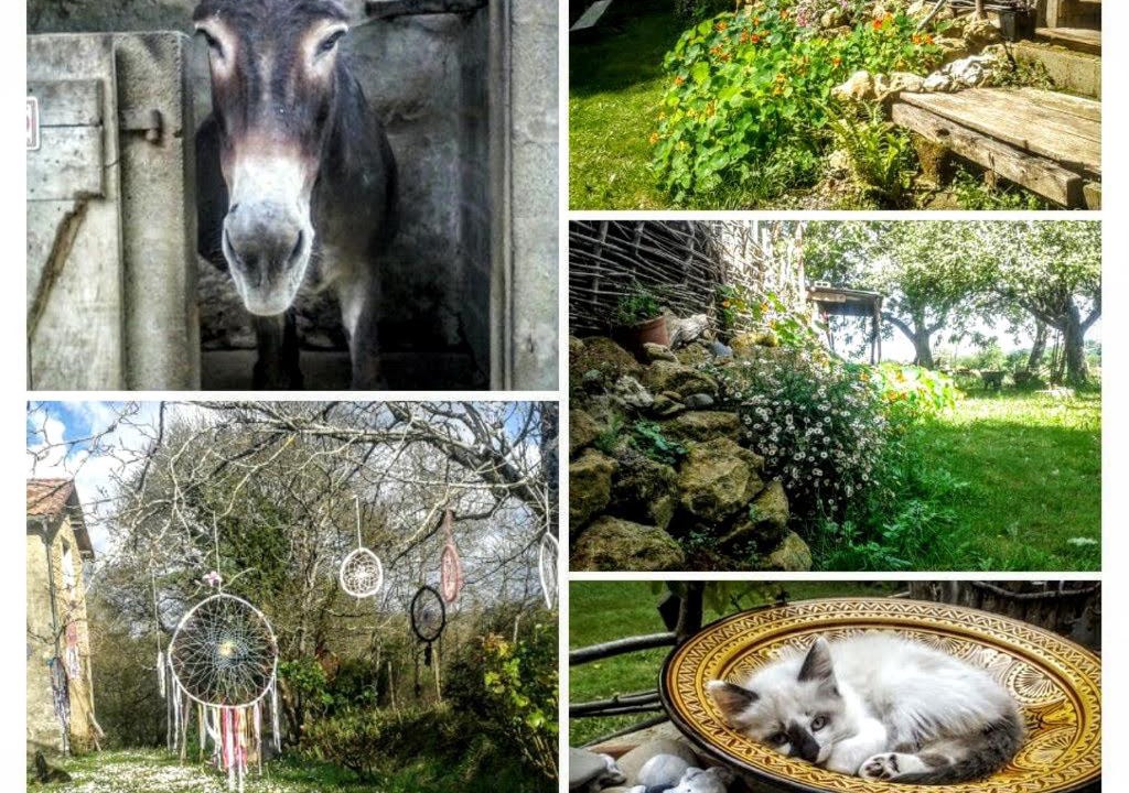 Photo of Others in Cledes