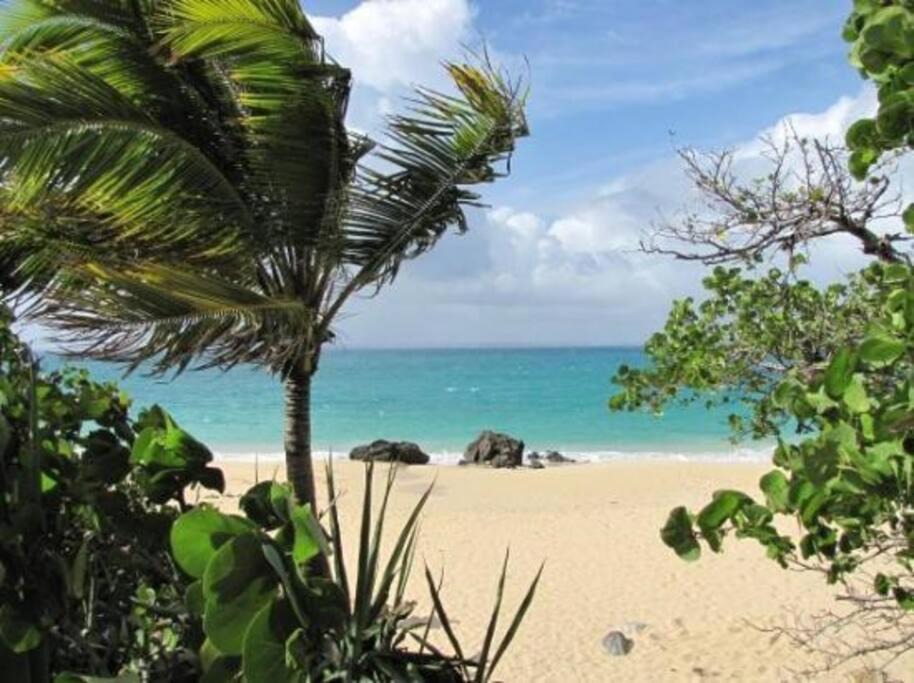 Photo of Outdoor in La Savane