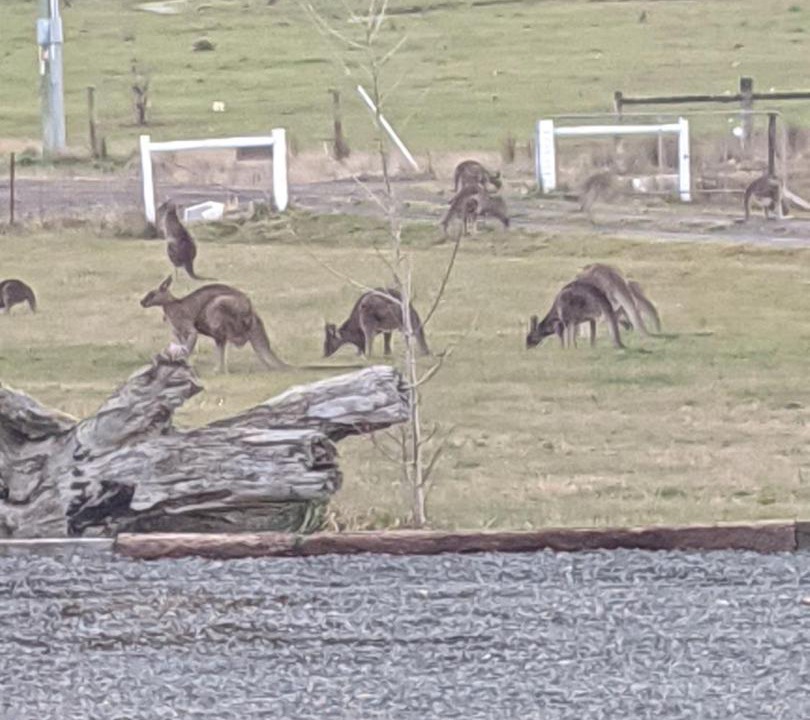 Photo of Others in Scarsdale