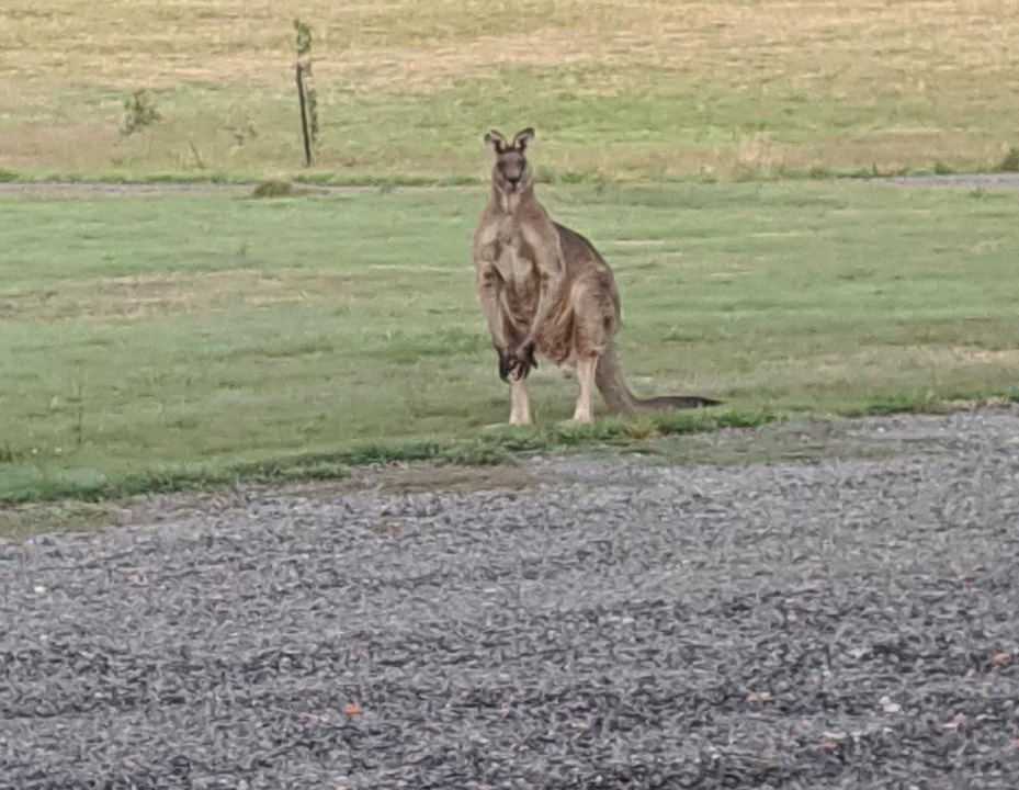 Photo of Others in Scarsdale