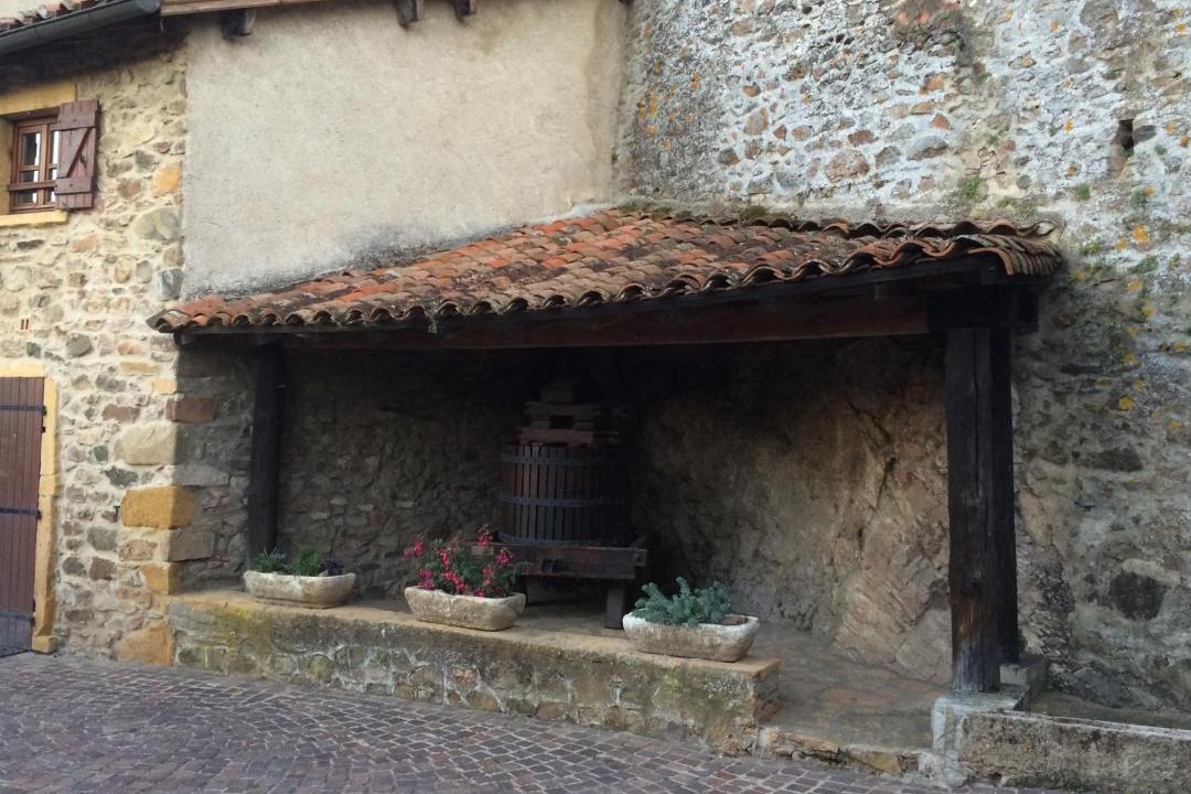 Photo of Others in Ternand