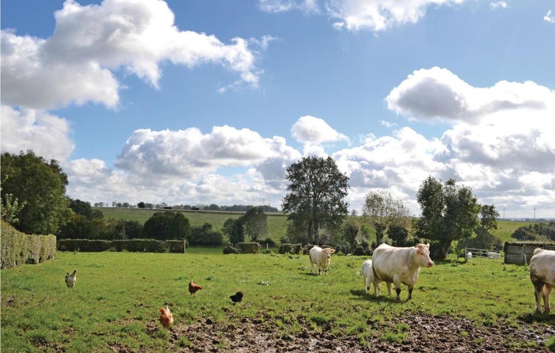 Photo of Others in Bourthes