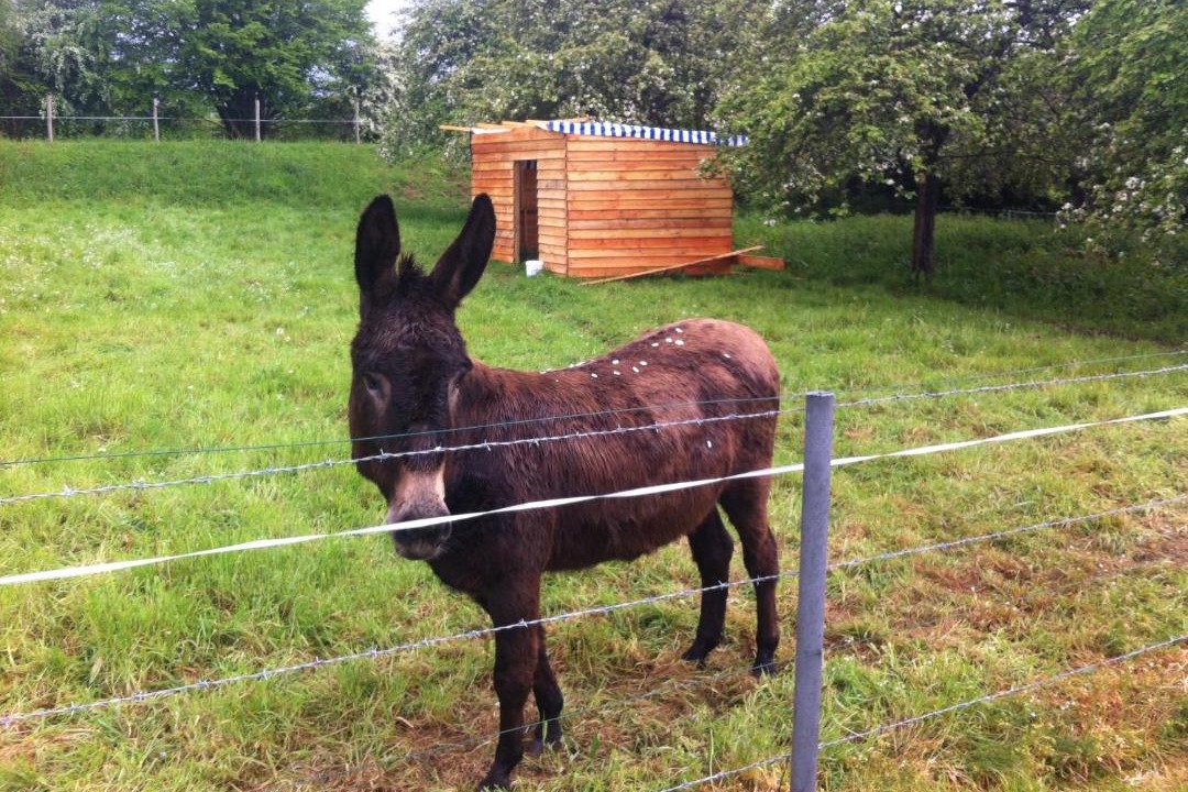 Photo of Others in Montaigu-les-Bois
