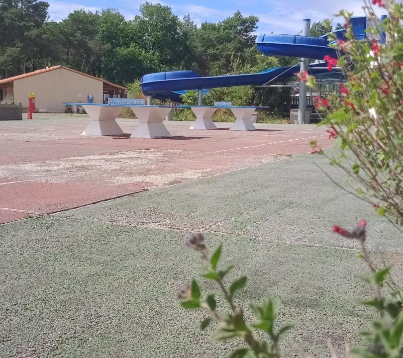 Photo of Outdoor in La Boissiere-de-Montaigu