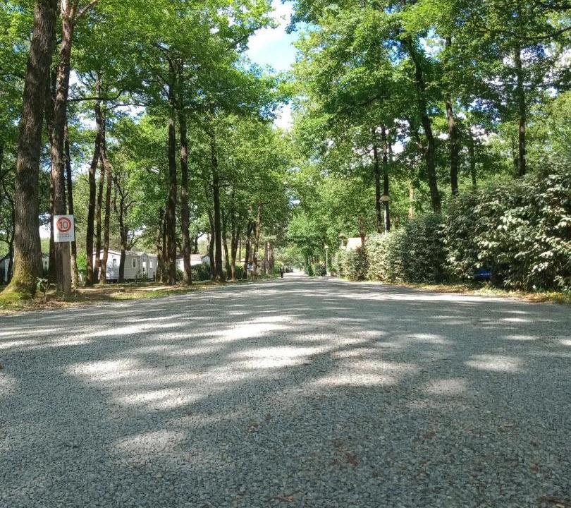 Photo of Outdoor in La Boissiere-de-Montaigu