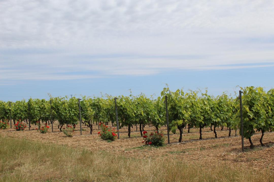 Photo of Others in Sigogne